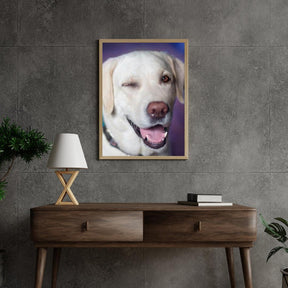 Diamond Painting Hond met knipoog - SEOS Shop ®
