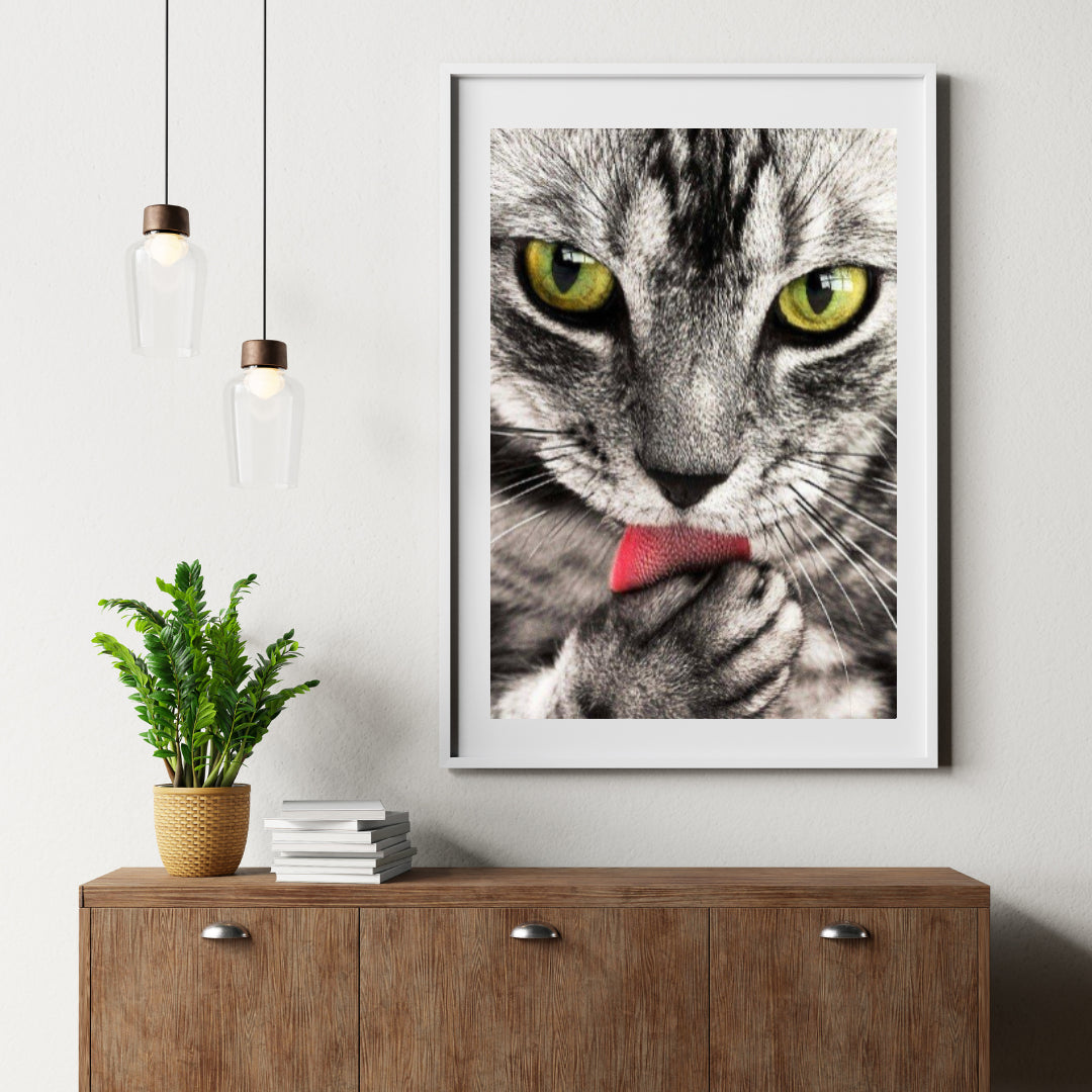 Diamond Painting Kat likt hand - SEOS Shop ®