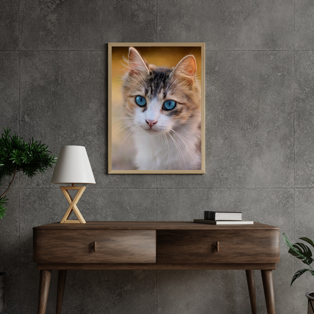 Diamond Painting Kitten met blauwe ogen - SEOS Shop ®