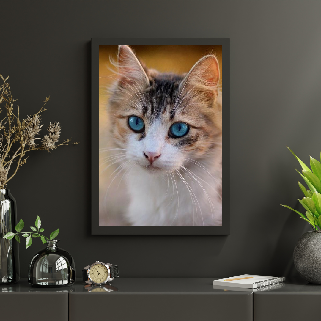 Diamond Painting Kitten met blauwe ogen - SEOS Shop ®