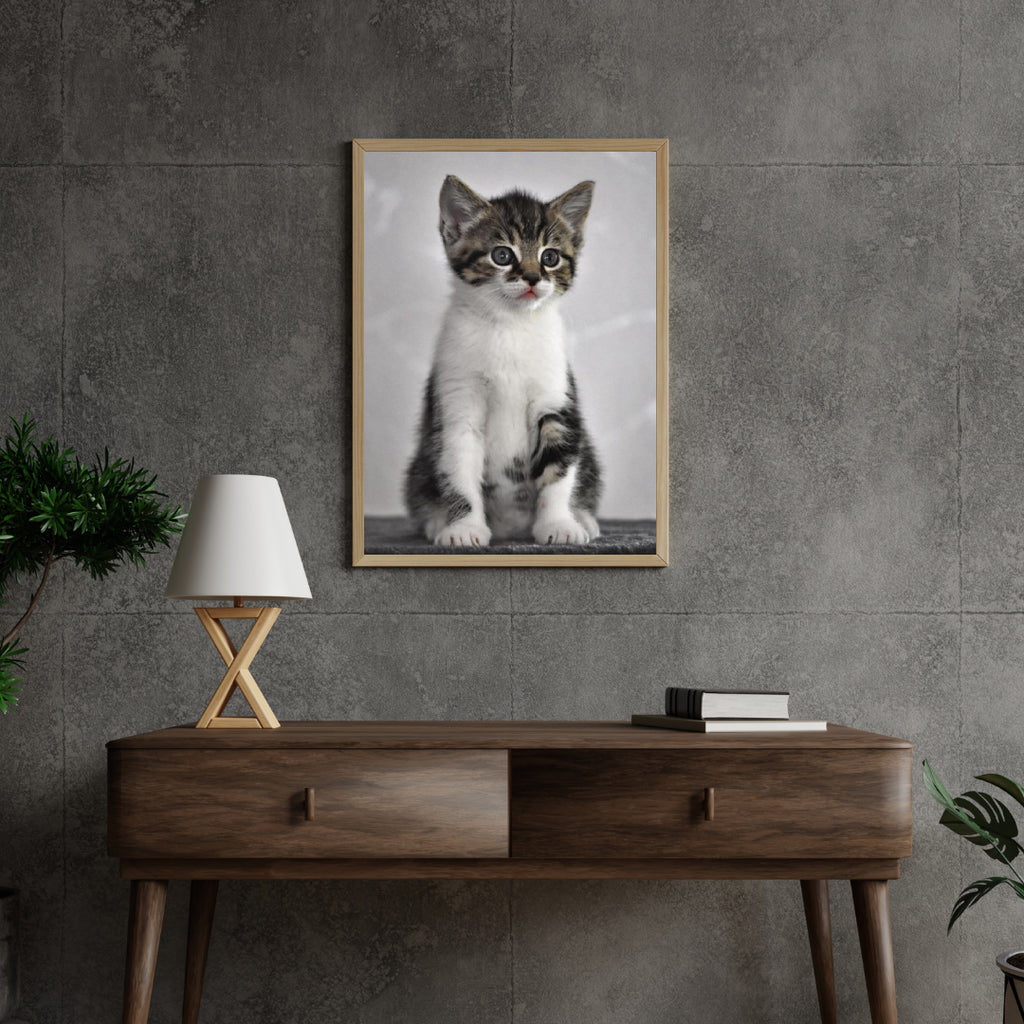 Diamond Painting Kitten met grijze ogen - SEOS Shop ®