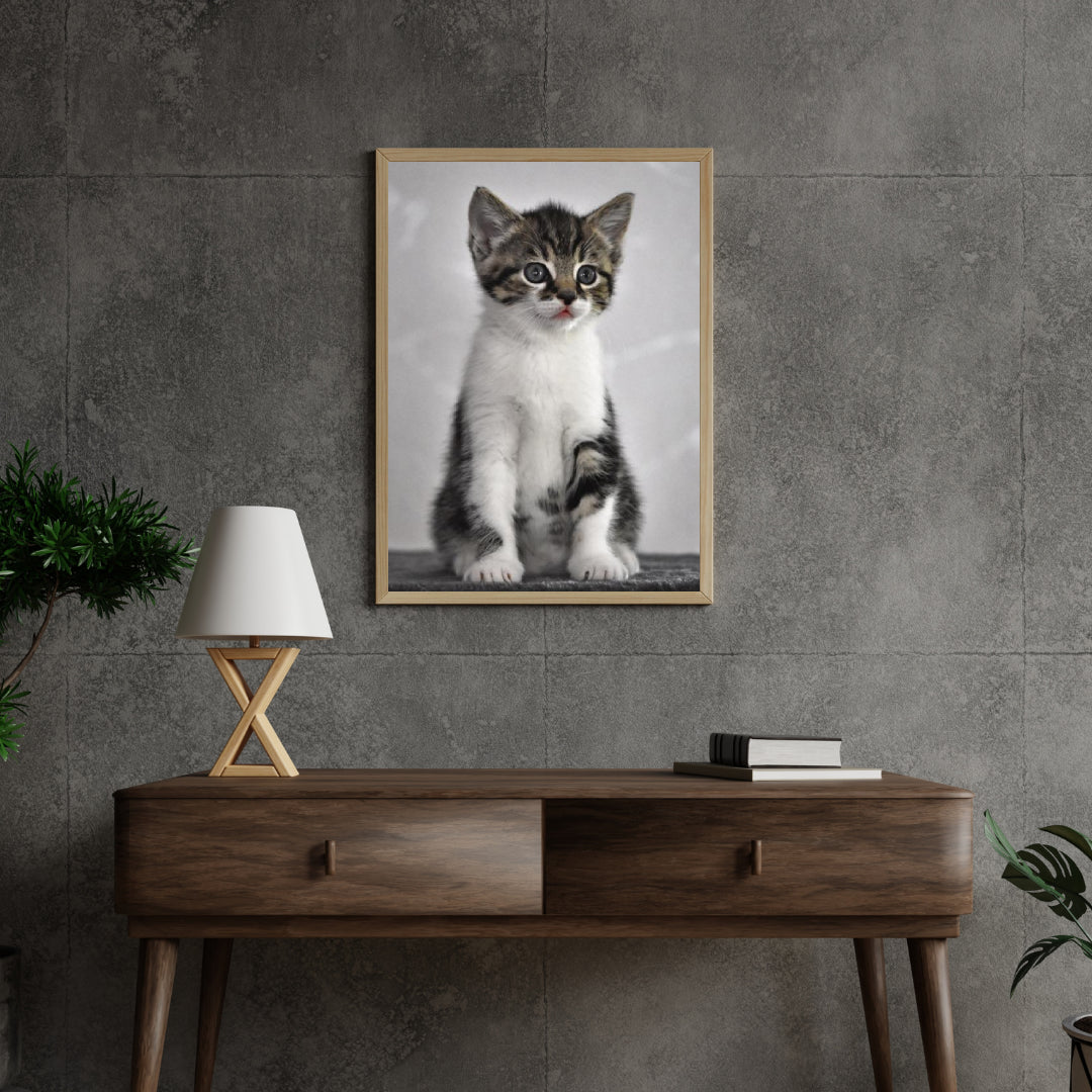 Diamond Painting Kitten met grijze ogen - SEOS Shop ®