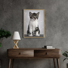 Diamond Painting Kitten met grijze ogen - SEOS Shop ®