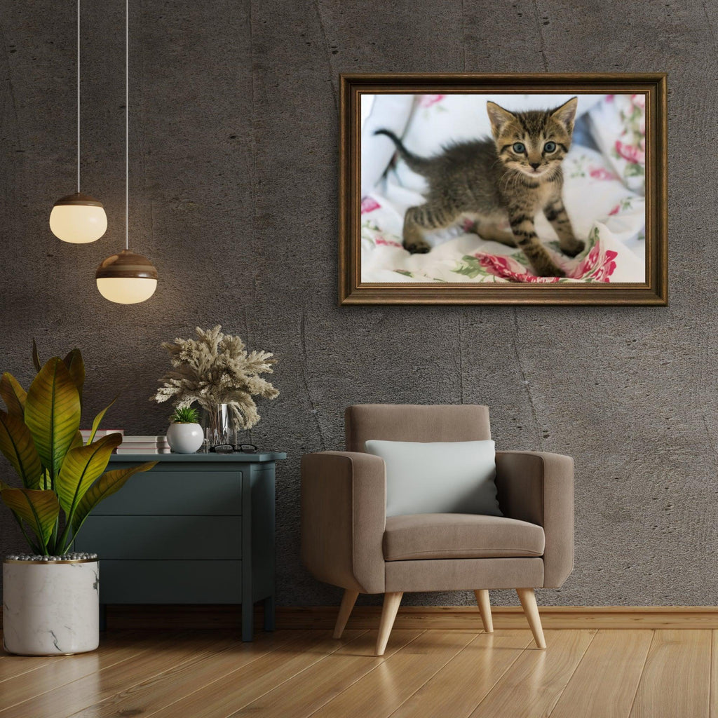 Diamond Painting Kitten op bed - SEOS Shop ®