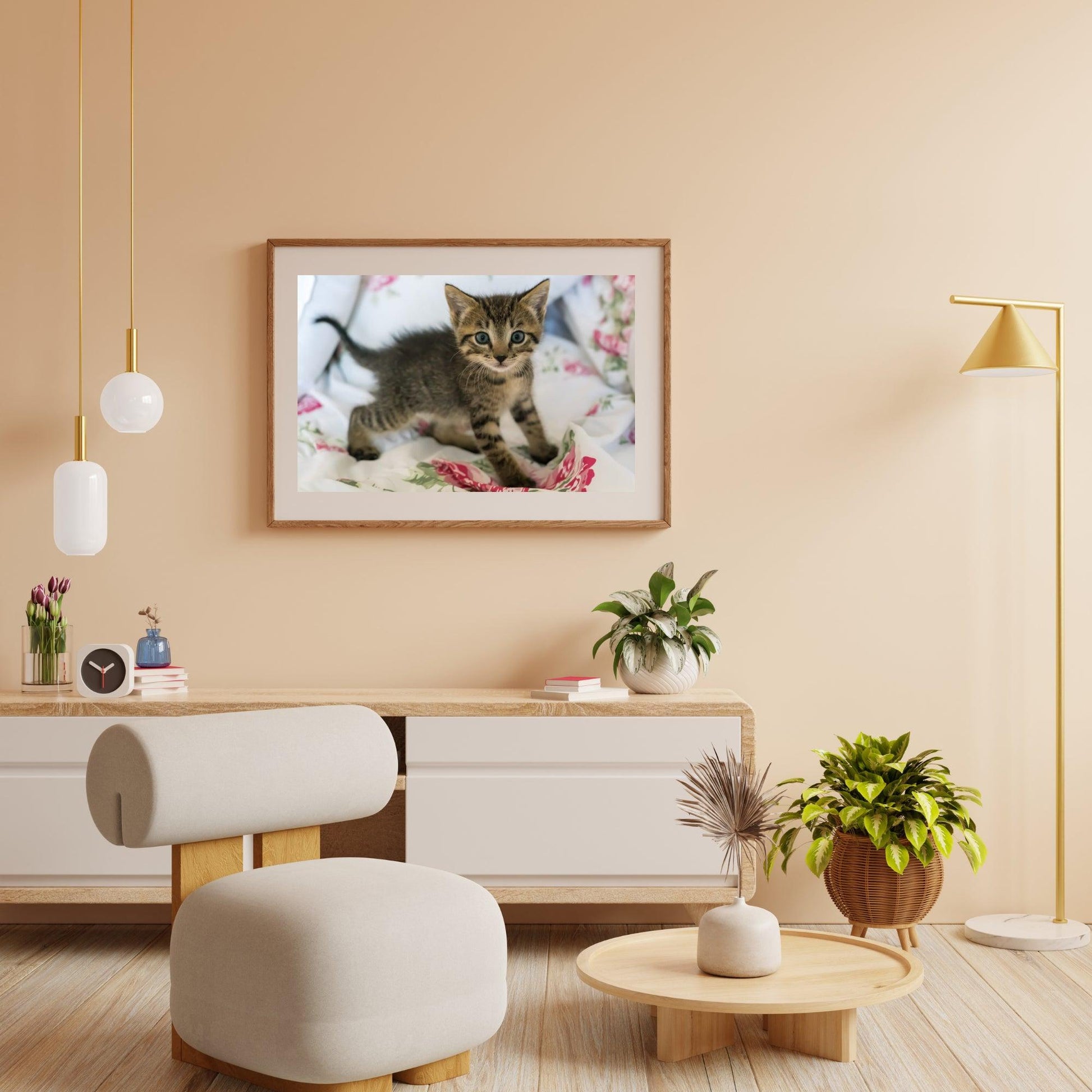 Diamond Painting Kitten op bed - SEOS Shop ®