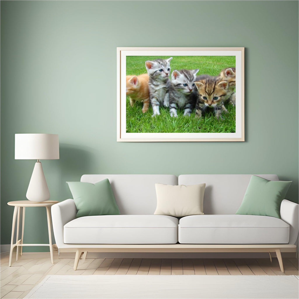 Diamond Painting Kittens Volledig - SEOS Shop ®