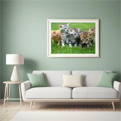 Diamond Painting Kittens Volledig - SEOS Shop ®