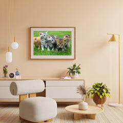 Diamond Painting Kittens Volledig - SEOS Shop ®