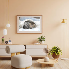 Diamond Painting Kittens in Bed - SEOS Shop ®
