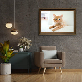 Diamond Painting Kleine kitten in een stoel - SEOS Shop ®