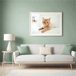Diamond Painting Kleine kitten in een stoel - SEOS Shop ®