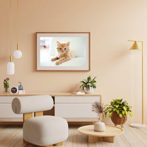 Diamond Painting Kleine kitten in een stoel - SEOS Shop ®