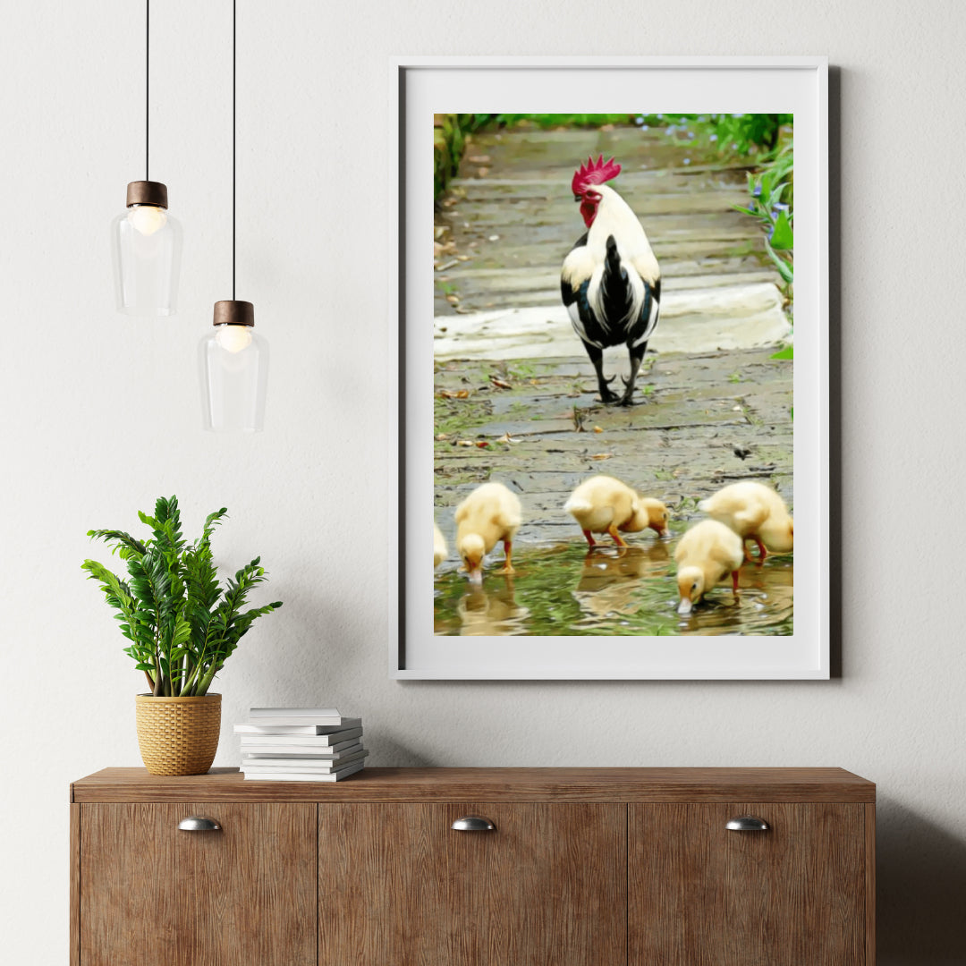 Diamond Painting Kuikentjes - SEOS Shop ®