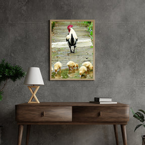 Diamond Painting Kuikentjes - SEOS Shop ®