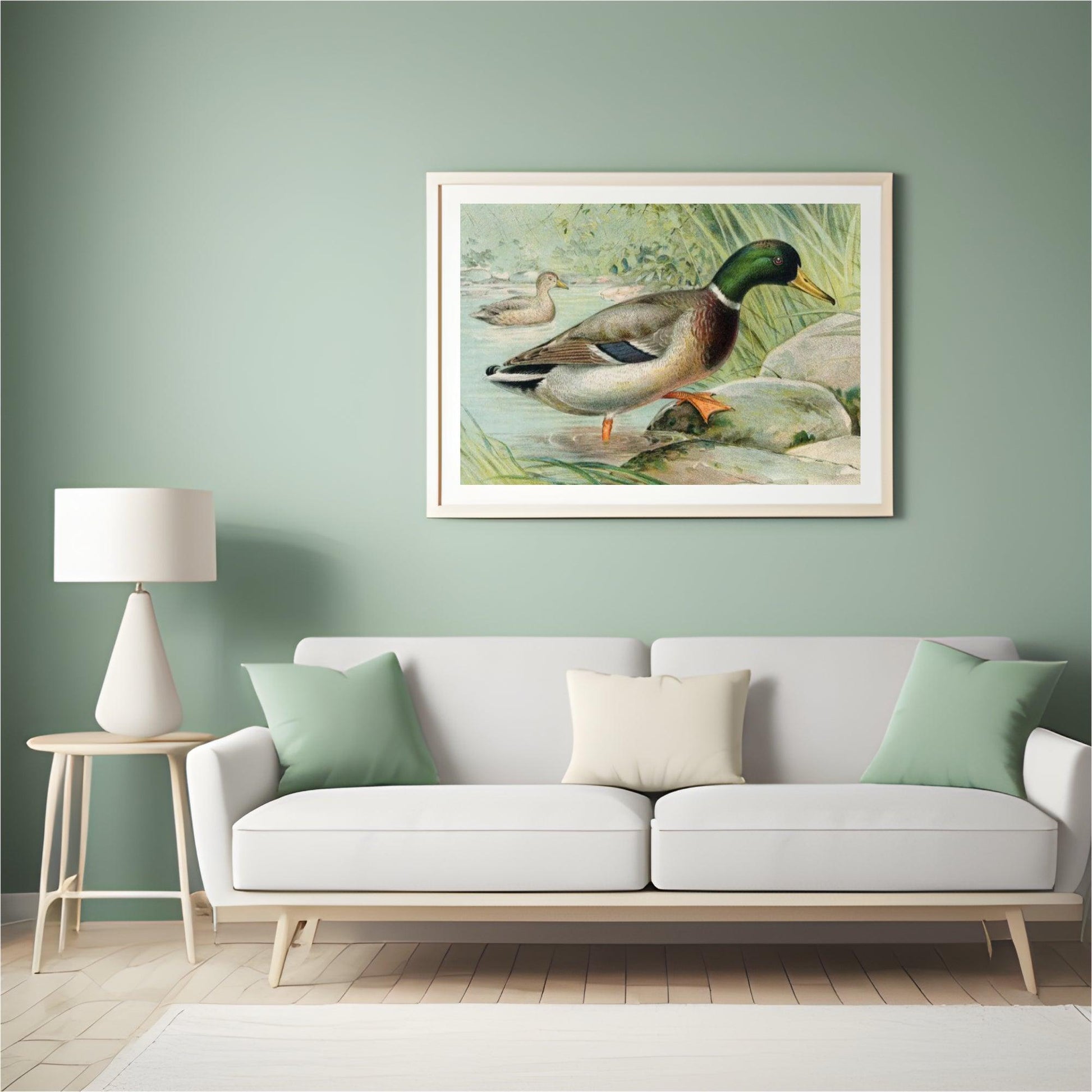 Diamond Painting Mallard Duck