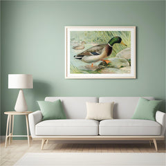 Diamond Painting Mallard Duck