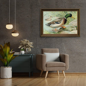 Diamond Painting Mallard Duck