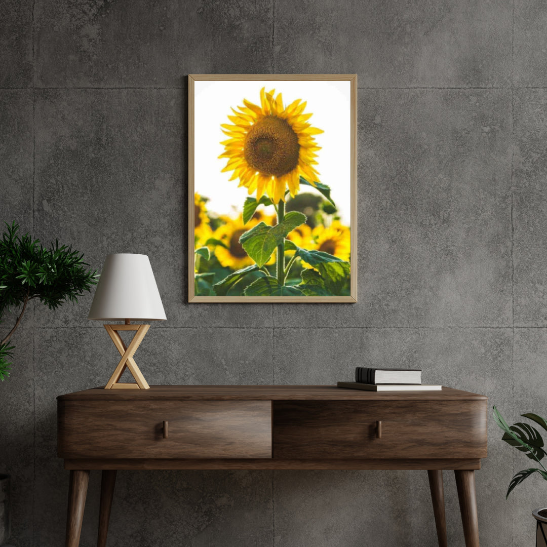 Diamond Painting Mooi zonnebloem - SEOS Shop ®