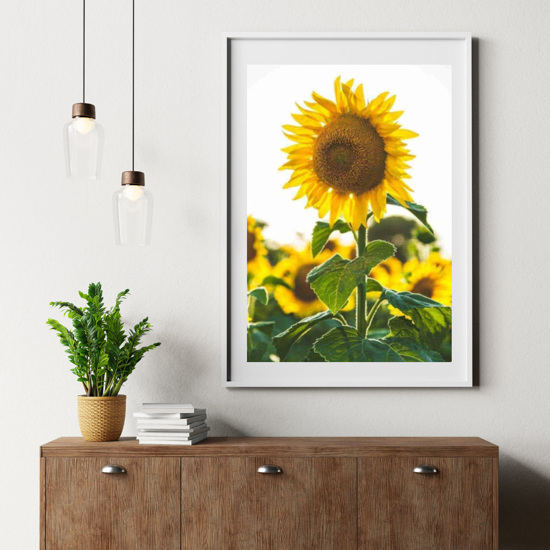 Diamond Painting Mooi zonnebloem - SEOS Shop ®