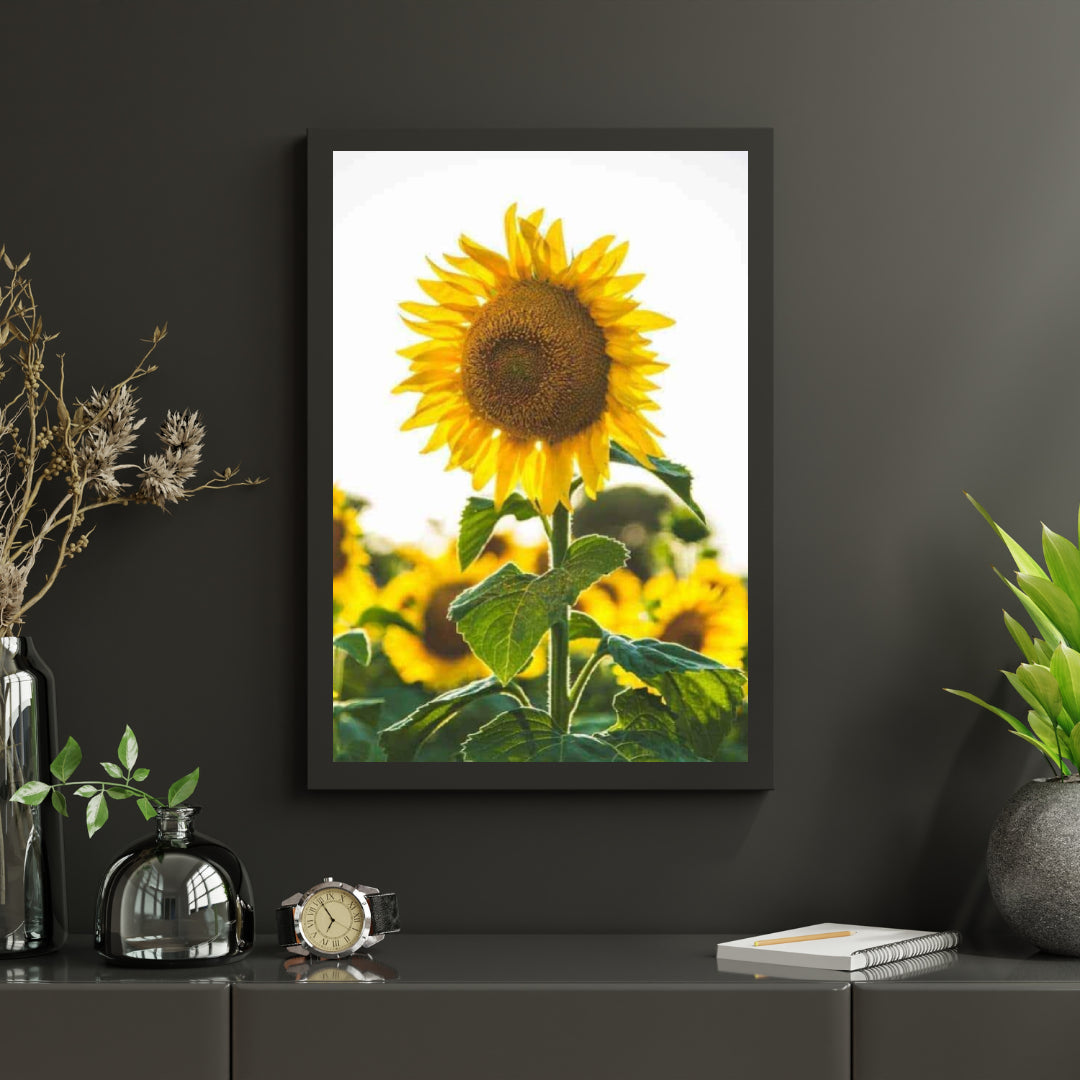 Diamond Painting Mooi zonnebloem - SEOS Shop ®