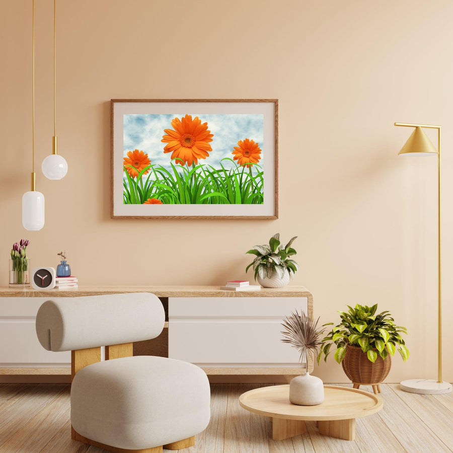 Diamond Painting Oranje Margrieten - SEOS Shop ®