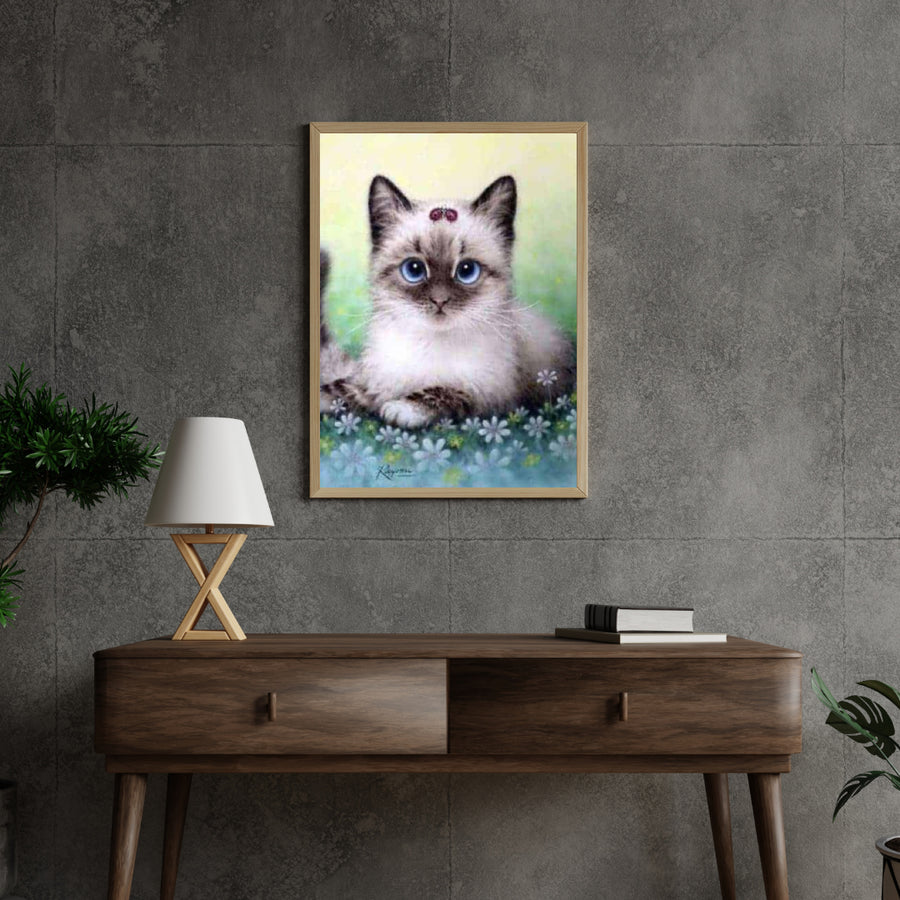 Diamond Painting Pakket Kitten - SEOS Shop ®