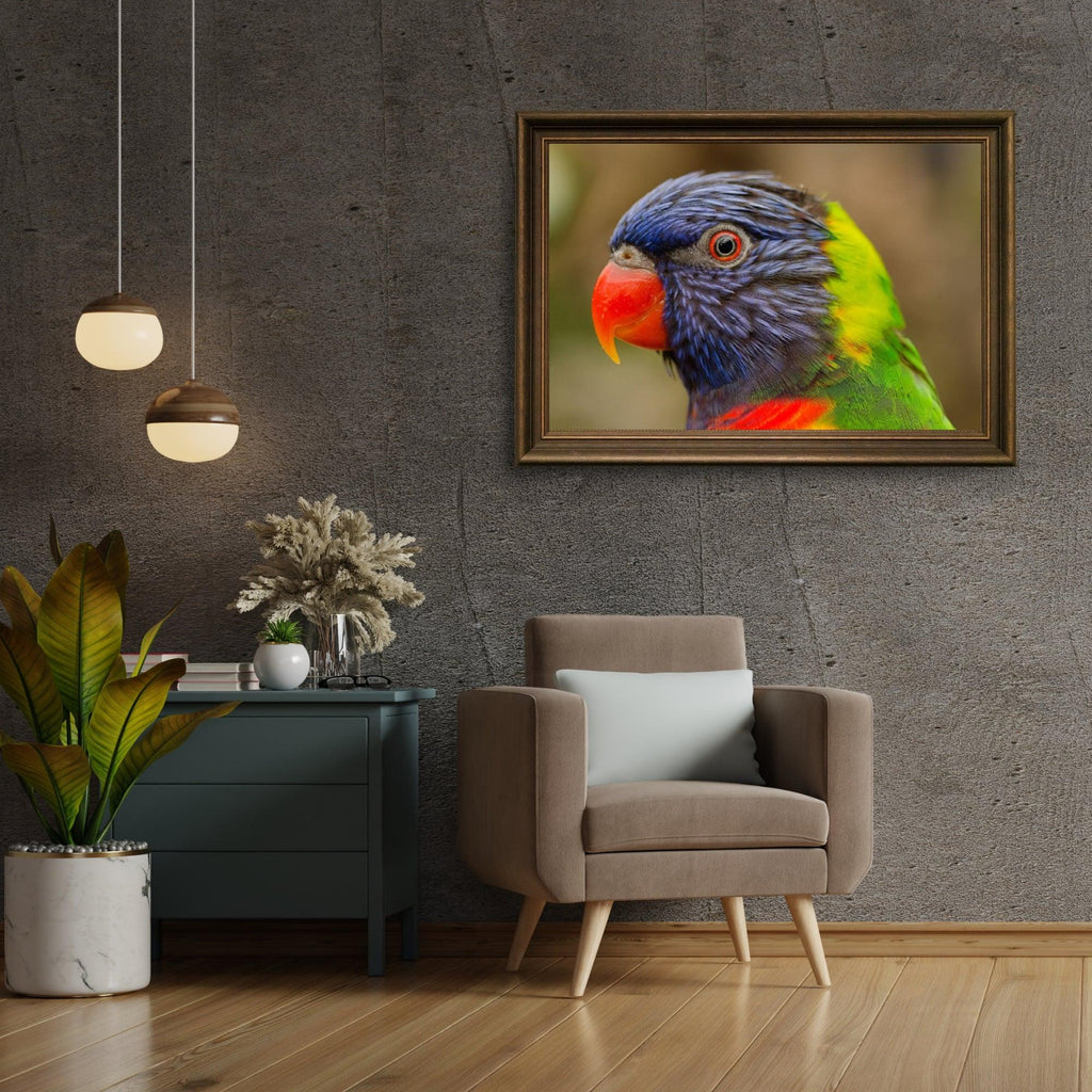 Diamond Painting Papegaai - SEOS Shop ®