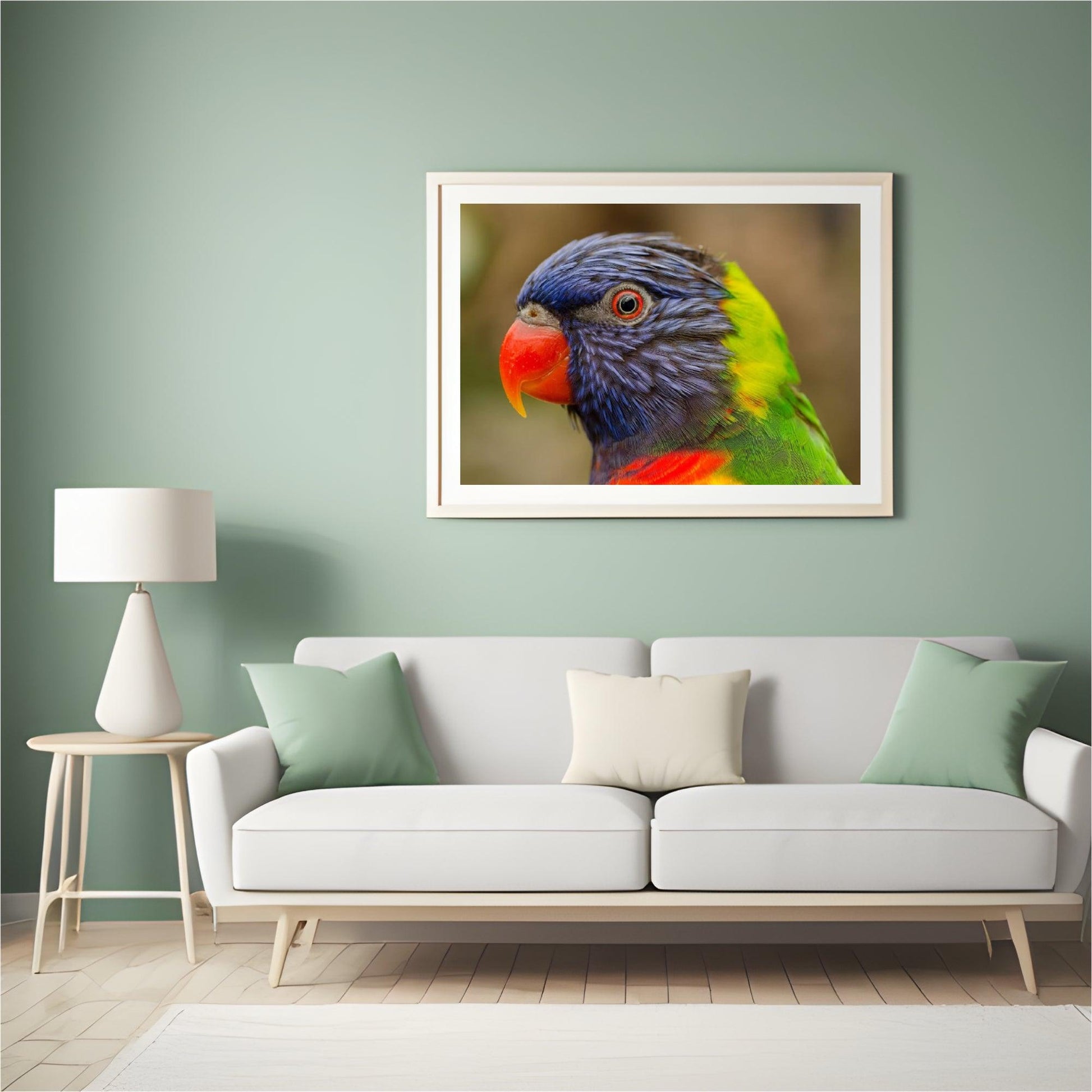 Diamond Painting Papegaai - SEOS Shop ®