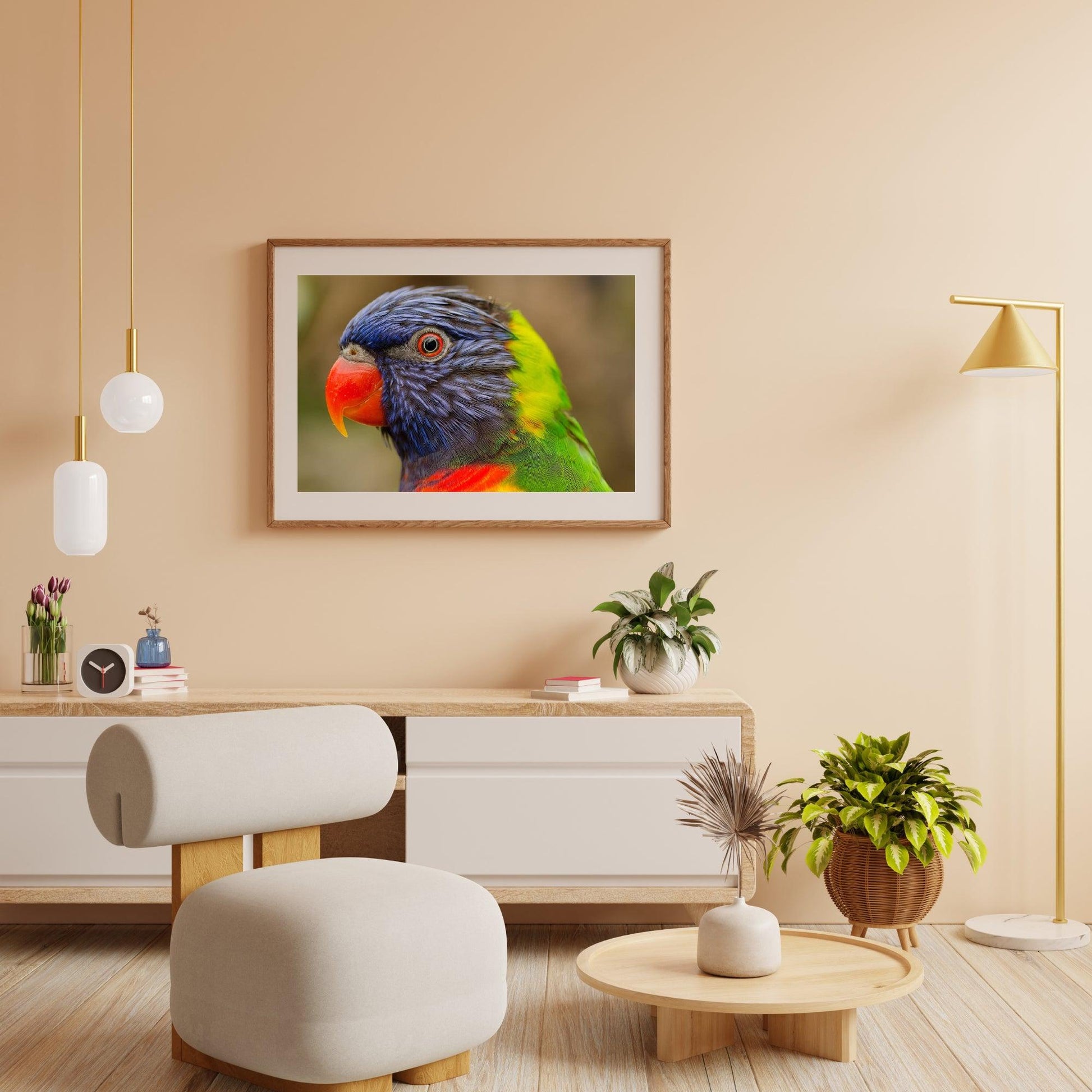 Diamond Painting Papegaai - SEOS Shop ®