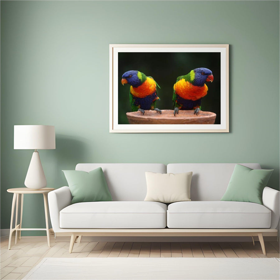 Diamond Painting Papegaaien - SEOS Shop ®