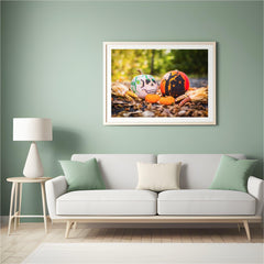 Diamond Painting Pompoenen Halloween - SEOS Shop ®