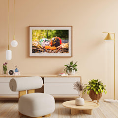 Diamond Painting Pompoenen Halloween - SEOS Shop ®