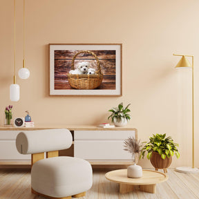 Diamond Painting Puppy's in een mandje - SEOS Shop ®