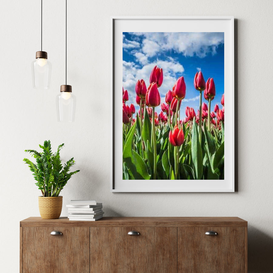 Diamond Painting Rode tulpen - SEOS Shop ®