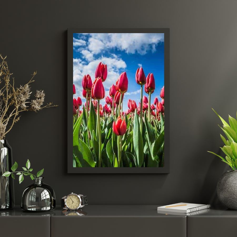 Diamond Painting Rode tulpen - SEOS Shop ®