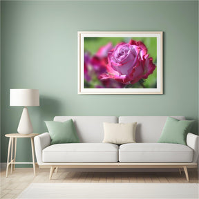 Diamond Painting Roze Roos - SEOS Shop ®