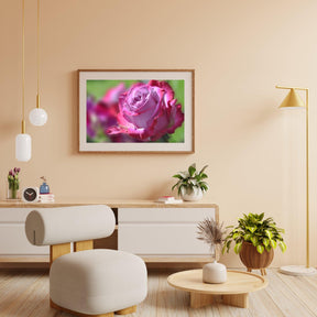 Diamond Painting Roze Roos - SEOS Shop ®