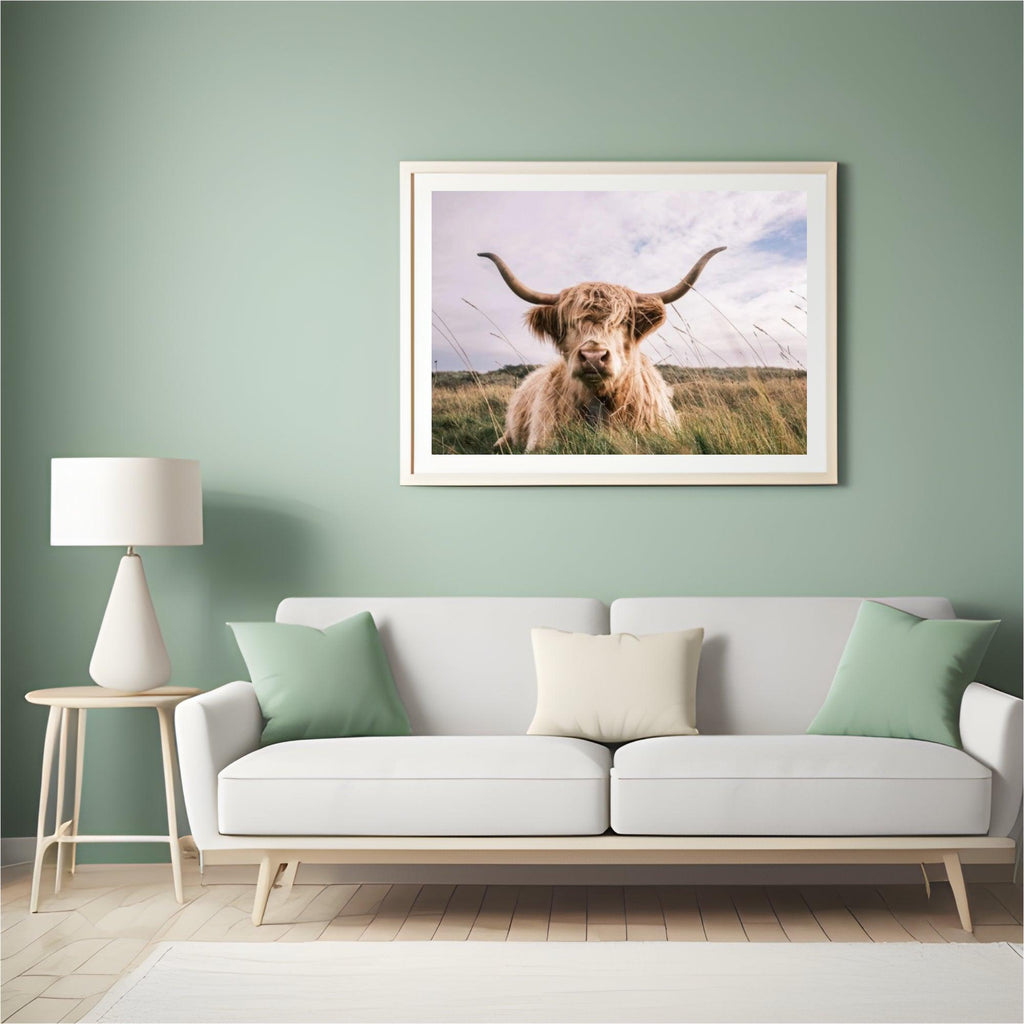 Diamond Painting Schotse hooglander - Lichtkleurige Schotse hooglander - SEOS Shop ®
