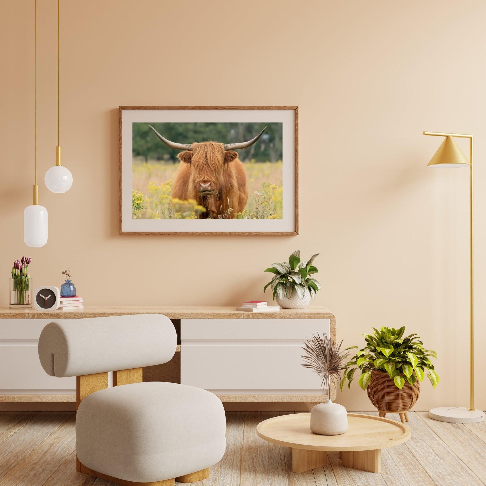 Diamond Painting Schotse hooglander - Mooie Schotse hooglander grazend in het veld - SEOS Shop ®