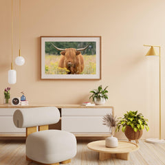 Diamond Painting Schotse hooglander - Mooie Schotse hooglander grazend in het veld - SEOS Shop ®