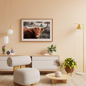 Diamond Painting Schotse hooglander - Nieuwsgierige Schotse hooglander in de heuvels - SEOS Shop ®