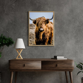 Diamond Painting Schotse hooglander - Portret van de bijzondere Schotse hooglander - SEOS Shop ®