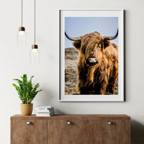 Diamond Painting Schotse hooglander - Portret van de bijzondere Schotse hooglander - SEOS Shop ®