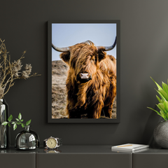 Diamond Painting Schotse hooglander - Portret van de bijzondere Schotse hooglander - SEOS Shop ®