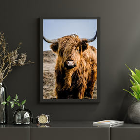 Diamond Painting Schotse hooglander - Portret van de bijzondere Schotse hooglander - SEOS Shop ®