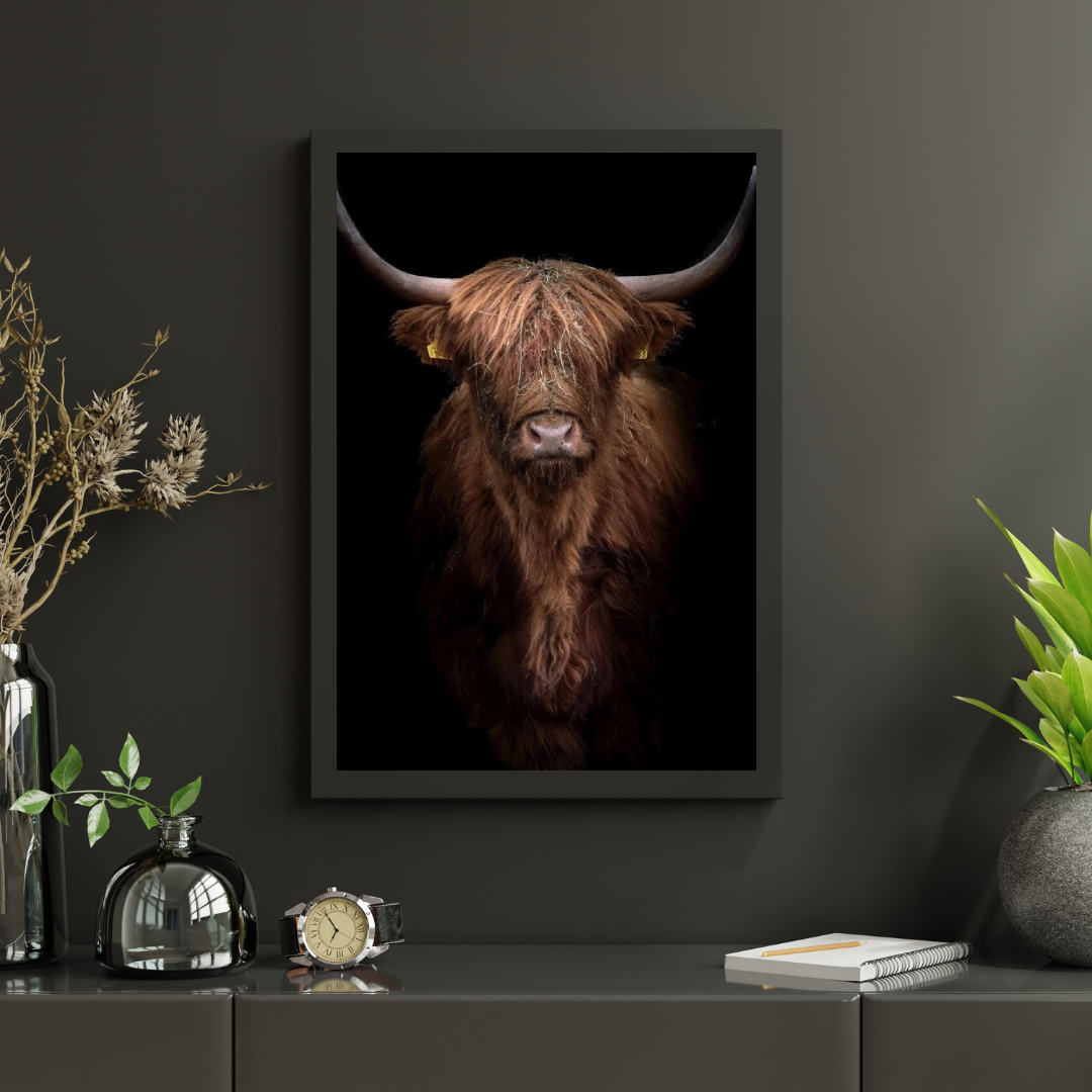 Diamond Painting Schotse hooglander - Roodbruine Schotse hooglander van dichtbij - SEOS Shop ®