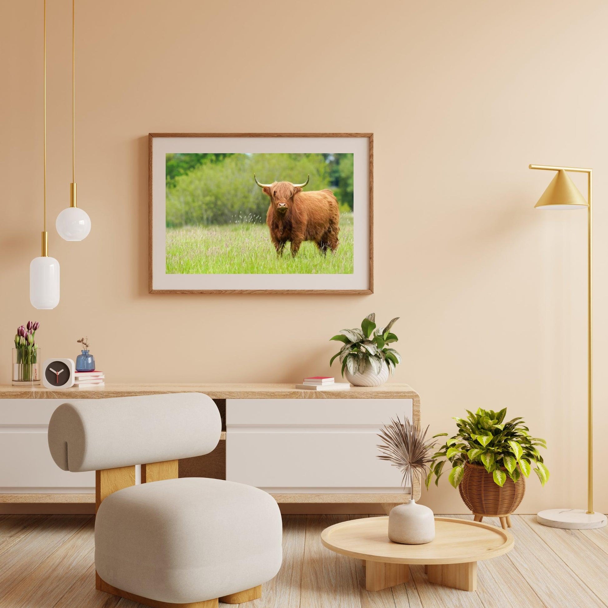 Diamond Painting Schotse hooglander - Schattige Schotse hooglander op een zonnige dag - SEOS Shop ®