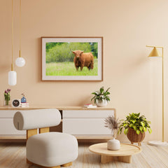 Diamond Painting Schotse hooglander - Schattige Schotse hooglander op een zonnige dag - SEOS Shop ®