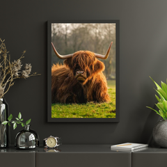 Diamond Painting Schotse hooglander - Schotse hoogland koe van dichtbij - SEOS Shop ®