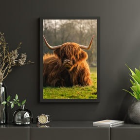 Diamond Painting Schotse hooglander - Schotse hoogland koe van dichtbij - SEOS Shop ®